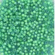 Miyuki delica beads 11/0 - Luminous mermaid green DB-2053